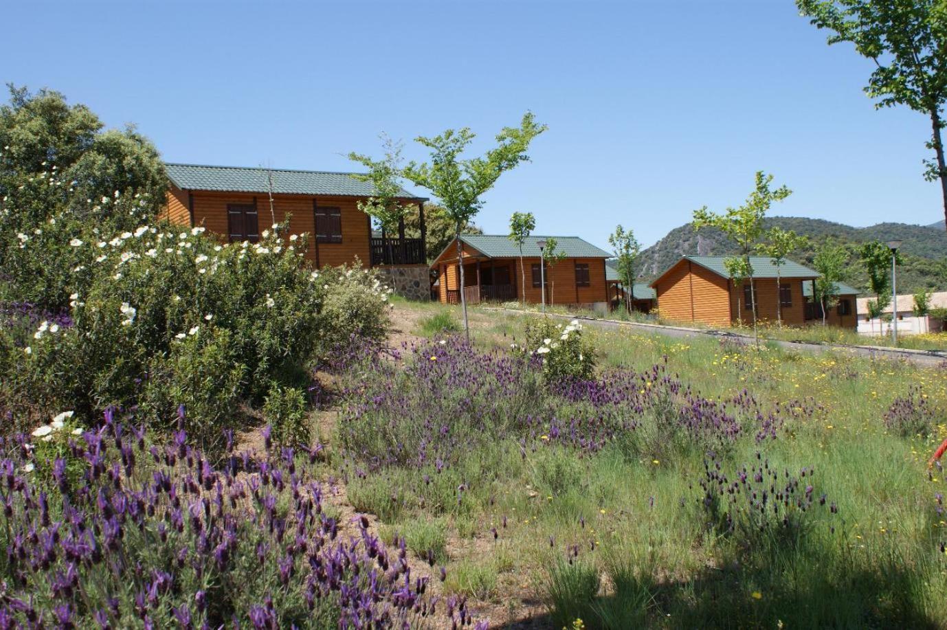 Lincetur Cabaneros - Centro De Turismo Rural Navas de Estena Kültér fotó